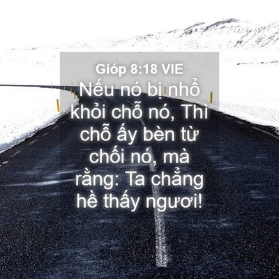 Picture 04 - Gióp 8:18 VIE - Nếu nó bị nhổ khỏi chỗ nó, Thì chỗ - Bible Verse Picture