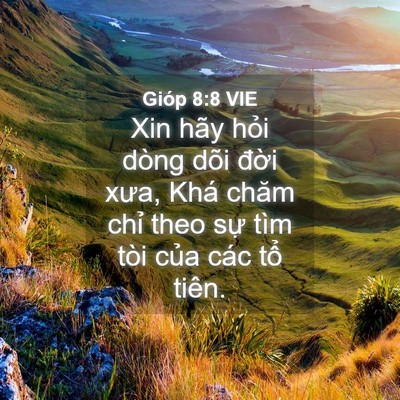 Picture 04 - Gióp 8:8 VIE - Xin hãy hỏi dòng dõi đời xưa, Khá chăm - Bible Verse Picture