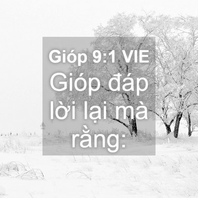 Picture 04 - Gióp 9:1 VIE - Gióp đáp lời lại mà - Bible Verse Picture