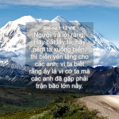Picture 04 - Giô-na 1:12 VIE - Người trả lời rằng: Hãy bắt lấy ta; - Bible Verse Picture