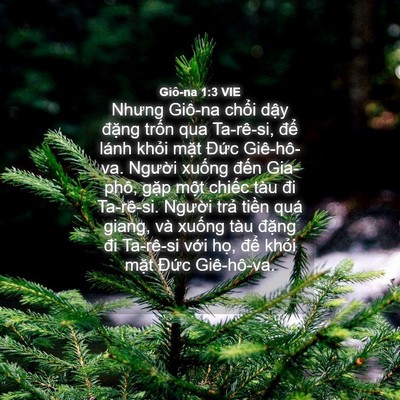 Picture 04 - Giô-na 1:3 VIE - Nhưng Giô-na chổi dậy đặng trốn qua - Bible Verse Picture