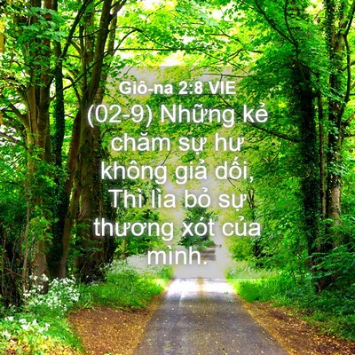 Picture 04 - Giô-na 2:8 VIE - (02-9) Những kẻ chăm sự hư không giả - Bible Verse Picture