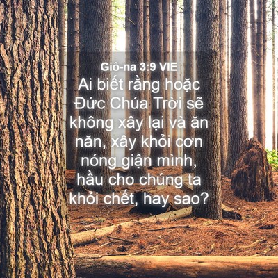 Picture 04 - Giô-na 3:9 VIE - Ai biết rằng hoặc Đức Chúa Trời sẽ - Bible Verse Picture