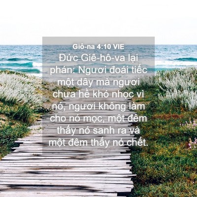 Picture 04 - Giô-na 4:10 VIE - Đức Giê-hô-va lại phán: Ngươi đoái - Bible Verse Picture