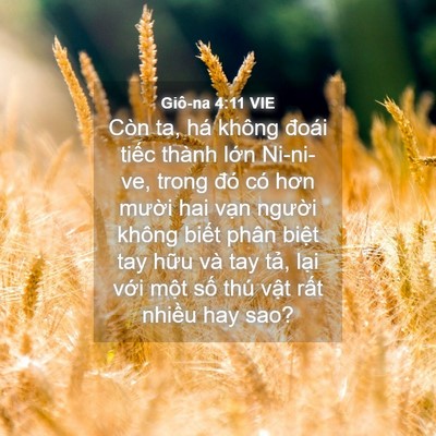 Picture 04 - Giô-na 4:11 VIE - Còn ta, há không đoái tiếc thành lớn - Bible Verse Picture