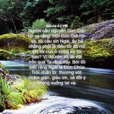 Picture 04 - Giô-na 4:2 VIE - Người cầu nguyện Đức Giê-hô-va - Bible Verse Picture