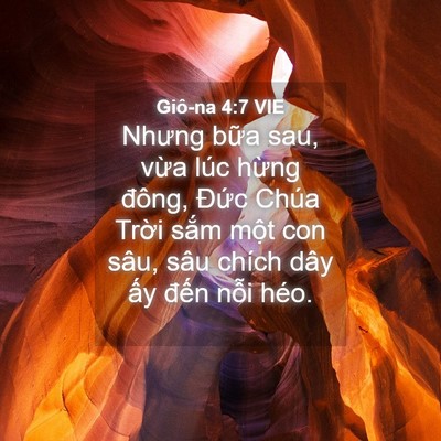 Picture 04 - Giô-na 4:7 VIE - Nhưng bữa sau, vừa lúc hừng đông, - Bible Verse Picture