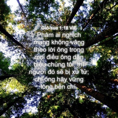 Picture 04 - Giô-sua 1:18 VIE - Phàm ai nghịch mạng không vâng theo lời - Bible Verse Picture