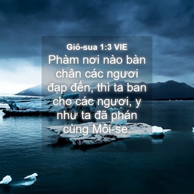 Picture 04 - Giô-sua 1:3 VIE - Phàm nơi nào bàn chân các ngươi đạp - Bible Verse Picture