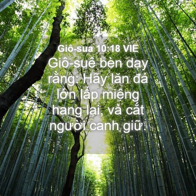 Picture 04 - Giô-sua 10:18 VIE - Giô-suê bèn dạy rằng: Hãy lăn đá lớn - Bible Verse Picture