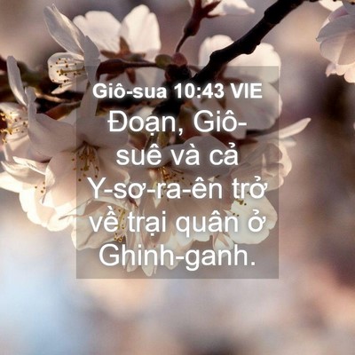 Picture 04 - Giô-sua 10:43 VIE - Đoạn, Giô-suê và cả Y-sơ-ra-ên trở - Bible Verse Picture
