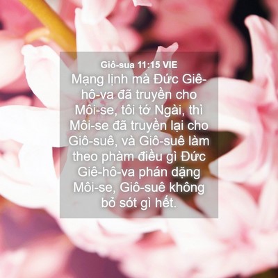 Picture 04 - Giô-sua 11:15 VIE - Mạng lịnh mà Đức Giê-hô-va đã - Bible Verse Picture