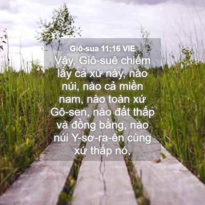 Picture 04 - Giô-sua 11:16 VIE - Vậy, Giô-suê chiếm lấy cả xứ này, - Bible Verse Picture