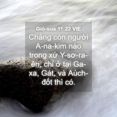 Picture 04 - Giô-sua 11:22 VIE - Chẳng còn người A-na-kim nào trong xứ - Bible Verse Picture