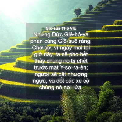 Picture 04 - Giô-sua 11:6 VIE - Nhưng Đức Giê-hô-va phán cùng Giô-suê - Bible Verse Picture