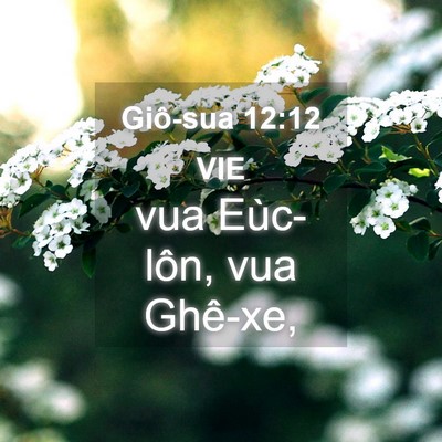 Picture 04 - Giô-sua 12:12 VIE - vua Eùc-lôn, vua - Bible Verse Picture