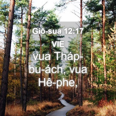 Picture 04 - Giô-sua 12:17 VIE - vua Tháp-bu-ách, vua - Bible Verse Picture