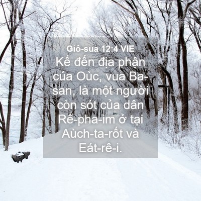 Picture 04 - Giô-sua 12:4 VIE - Kế đến địa phận của Oùc, vua Ba-san, - Bible Verse Picture