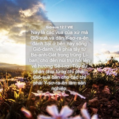 Picture 04 - Giô-sua 12:7 VIE - Này là các vua của xứ mà Giô-suê và - Bible Verse Picture