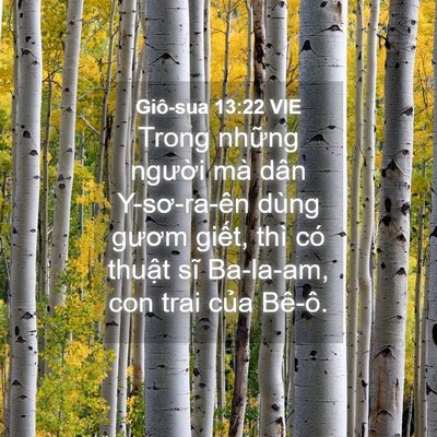 Picture 04 - Giô-sua 13:22 VIE - Trong những người mà dân Y-sơ-ra-ên - Bible Verse Picture