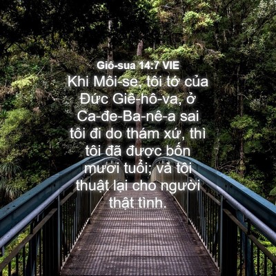 Picture 04 - Giô-sua 14:7 VIE - Khi Môi-se, tôi tớ của Đức Giê-hô-va, - Bible Verse Picture