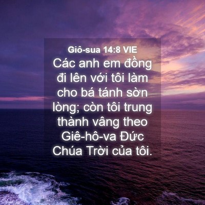 Picture 04 - Giô-sua 14:8 VIE - Các anh em đồng đi lên với tôi làm cho - Bible Verse Picture