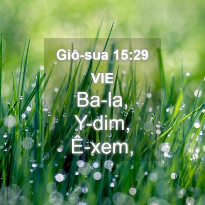 Picture 04 - Giô-sua 15:29 VIE - Ba-la, Y-dim, - Bible Verse Picture