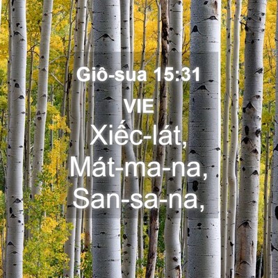 Picture 04 - Giô-sua 15:31 VIE - Xiếc-lát, Mát-ma-na, - Bible Verse Picture