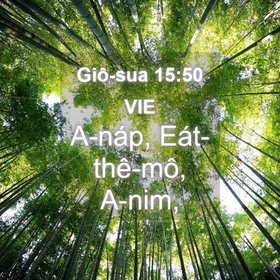 Picture 04 - Giô-sua 15:50 VIE - A-náp, Eát-thê-mô, - Bible Verse Picture