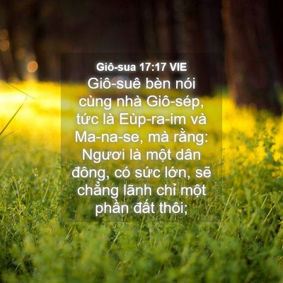 Picture 04 - Giô-sua 17:17 VIE - Giô-suê bèn nói cùng nhà Giô-sép, tức - Bible Verse Picture