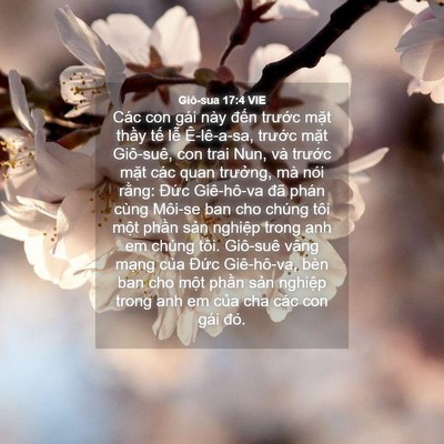 Picture 04 - Giô-sua 17:4 VIE - Các con gái này đến trước mặt thầy - Bible Verse Picture