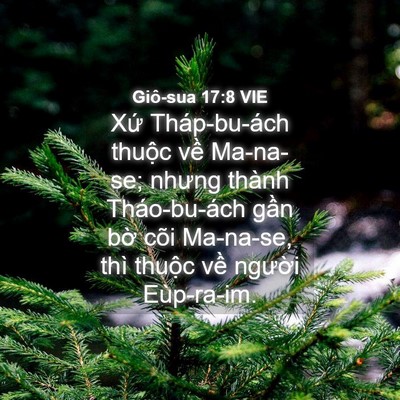 Picture 04 - Giô-sua 17:8 VIE - Xứ Tháp-bu-ách thuộc về Ma-na-se; nhưng - Bible Verse Picture