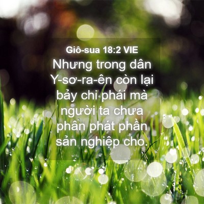 Picture 04 - Giô-sua 18:2 VIE - Nhưng trong dân Y-sơ-ra-ên còn lại bảy - Bible Verse Picture