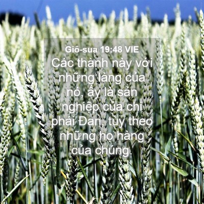 Picture 04 - Giô-sua 19:48 VIE - Các thành này với những làng của nó, - Bible Verse Picture