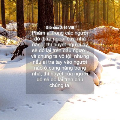 Picture 04 - Giô-sua 2:19 VIE - Phàm ai trong các người đó đi ra ngoài - Bible Verse Picture