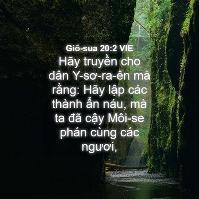 Picture 04 - Giô-sua 20:2 VIE - Hãy truyền cho dân Y-sơ-ra-ên mà rằng: - Bible Verse Picture