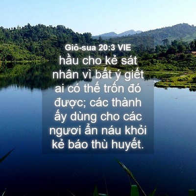 Picture 04 - Giô-sua 20:3 VIE - hầu cho kẻ sát nhân vì bất ý giết ai - Bible Verse Picture