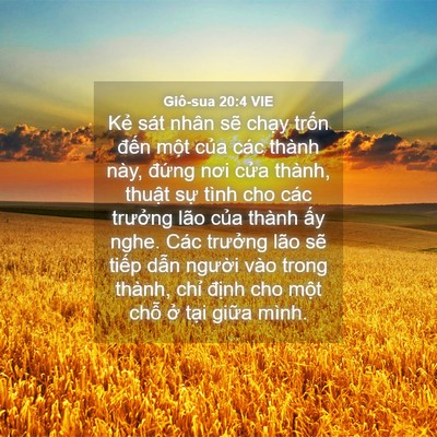 Picture 04 - Giô-sua 20:4 VIE - Kẻ sát nhân sẽ chạy trốn đến một - Bible Verse Picture