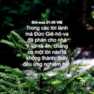 Picture 04 - Giô-sua 21:45 VIE - Trong các lời lành mà Đức Giê-hô-va - Bible Verse Picture