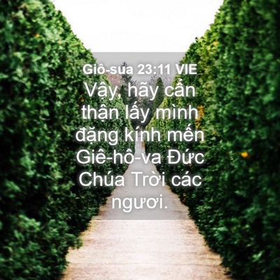 Picture 04 - Giô-sua 23:11 VIE - Vậy, hãy cẩn thận lấy mình đặng - Bible Verse Picture