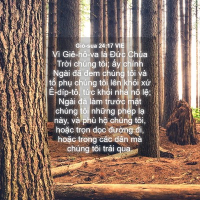 Picture 04 - Giô-sua 24:17 VIE - Vì Giê-hô-va là Đức Chúa Trời chúng - Bible Verse Picture