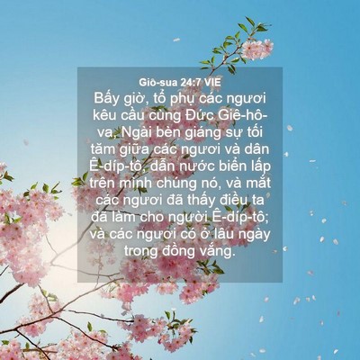 Picture 04 - Giô-sua 24:7 VIE - Bấy giờ, tổ phụ các ngươi kêu cầu - Bible Verse Picture