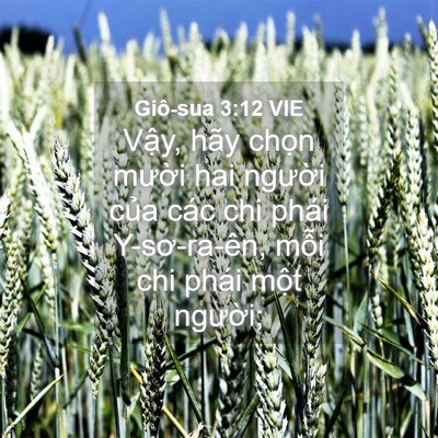 Picture 04 - Giô-sua 3:12 VIE - Vậy, hãy chọn mười hai người của - Bible Verse Picture