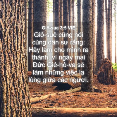 Picture 04 - Giô-sua 3:5 VIE - Giô-suê cũng nói cùng dân sự rằng: Hãy - Bible Verse Picture