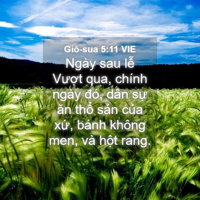 Picture 04 - Giô-sua 5:11 VIE - Ngày sau lễ Vượt qua, chính ngày đó, - Bible Verse Picture