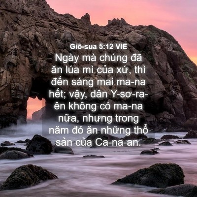 Picture 04 - Giô-sua 5:12 VIE - Ngày mà chúng đã ăn lúa mì của xứ, - Bible Verse Picture
