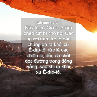 Picture 04 - Giô-sua 5:4 VIE - Này là cớ Giô-suê làm phép cắt bì cho - Bible Verse Picture