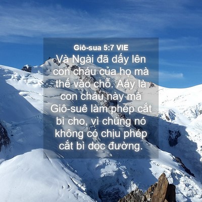 Picture 04 - Giô-sua 5:7 VIE - Và Ngài đã dấy lên con cháu của họ - Bible Verse Picture
