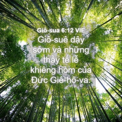 Picture 04 - Giô-sua 6:12 VIE - Giô-suê dậy sớm và những thầy tế - Bible Verse Picture