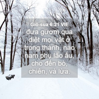 Picture 04 - Giô-sua 6:21 VIE - đưa gươm qua diệt mọi vật ở trong - Bible Verse Picture